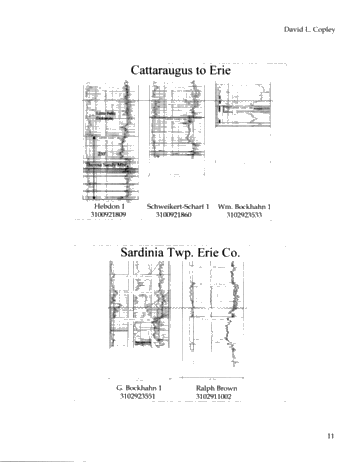 Preliminary Subsurface Correlations of the Theresa (Galway) Sandstone Formation in New York State: Implications for Exploration Page 11