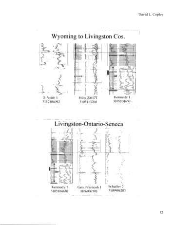 Preliminary Subsurface Correlations of the Theresa (Galway) Sandstone Formation in New York State: Implications for Exploration Page 12