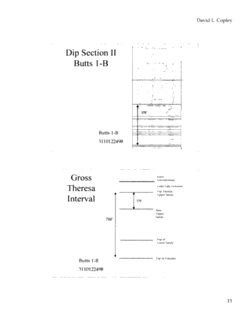 Preliminary Subsurface Correlations of the Theresa (Galway) Sandstone Formation in New York State: Implications for Exploration Page 15