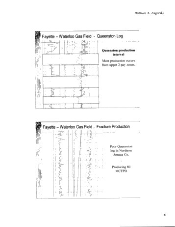 Geology and Reservoir Characteristics of Queenston Gas Fields in New York Page 7