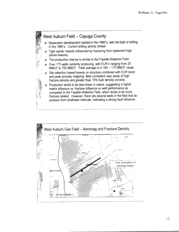 Geology and Reservoir Characteristics of Queenston Gas Fields in New York Page 11