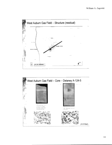 Geology and Reservoir Characteristics of Queenston Gas Fields in New York Page 13