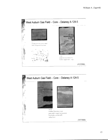 Geology and Reservoir Characteristics of Queenston Gas Fields in New York Page 14