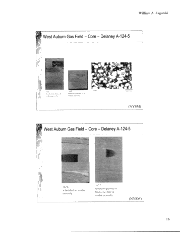Geology and Reservoir Characteristics of Queenston Gas Fields in New York Page 15