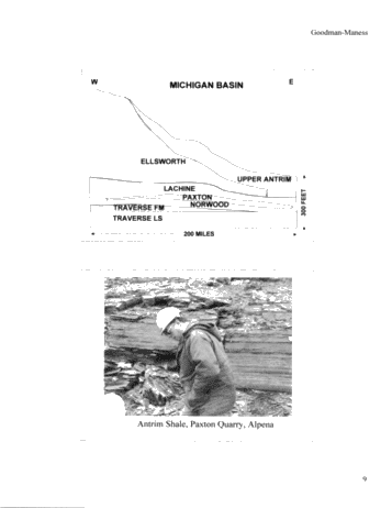 Michigan's Antrim Shale Play Page 9