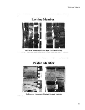 Michigan's Antrim Shale Play Page 10