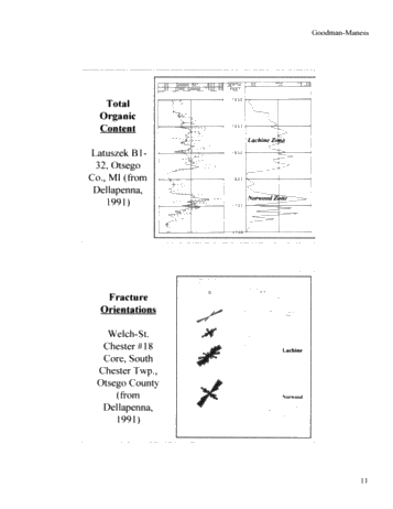 Michigan's Antrim Shale Play Page 11