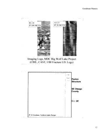 Michigan's Antrim Shale Play Page 12