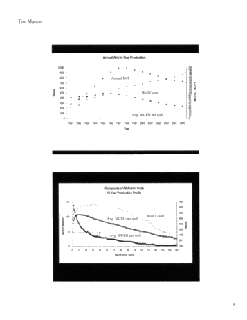 Michigan's Antrim Shale Play Page 16