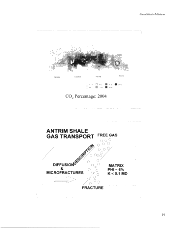 Michigan's Antrim Shale Play Page 19