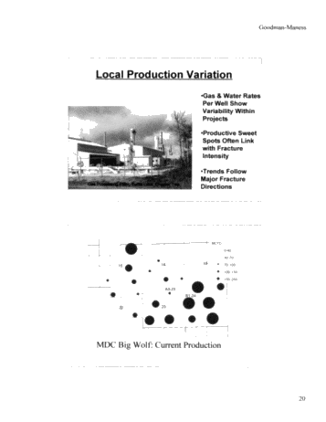Michigan's Antrim Shale Play Page 20