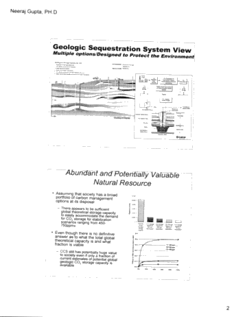 CO2 Capture and Storage in United States and Mid-Western Regional Partnership Page 2