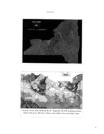 Outcrop Analog Lower Paleozoic Hydrothermal Dolomite Reservoirs, Mohawk Valley, New York Page 4