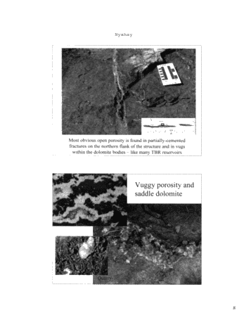 Outcrop Analog Lower Paleozoic Hydrothermal Dolomite Reservoirs, Mohawk Valley, New York Page 8