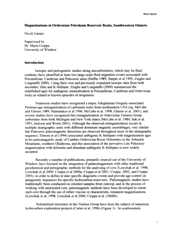 Magnetizations in Ordovician Petroleum Reservoir Rocks, Southwestern Ontario Page 1