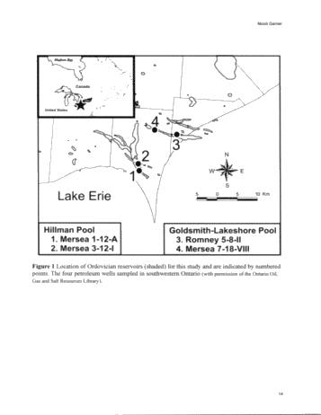 Magnetizations in Ordovician Petroleum Reservoir Rocks, Southwestern Ontario Page 14