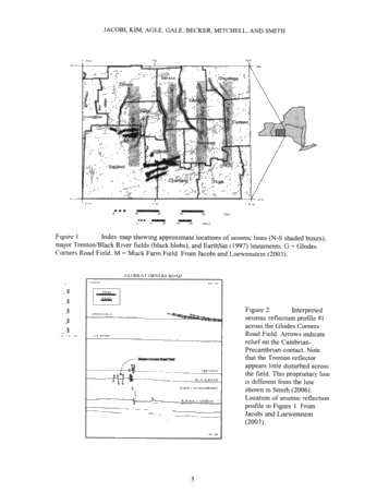 Generation of Lower Paleozoic Carbonate Reservoirs in the Appalachian Basin of New York State: Faults, Timing and The Plate Tectonic Connection Page 5