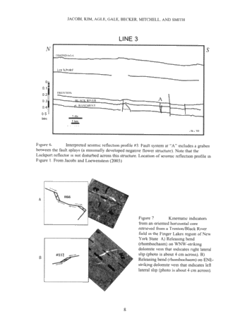 Generation of Lower Paleozoic Carbonate Reservoirs in the Appalachian Basin of New York State: Faults, Timing and The Plate Tectonic Connection Page 8