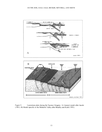 Generation of Lower Paleozoic Carbonate Reservoirs in the Appalachian Basin of New York State: Faults, Timing and The Plate Tectonic Connection Page 11