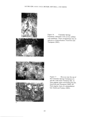 Generation of Lower Paleozoic Carbonate Reservoirs in the Appalachian Basin of New York State: Faults, Timing and The Plate Tectonic Connection Page 19