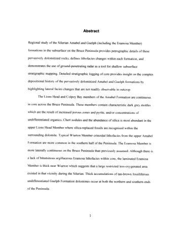 The Silurian Amabel and Guelph Formations of the Bruce Peninsula: Insights into Stratigraphy and Diagenesis From Petrography and Ground-penetrating Radar Page 2