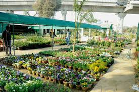 Nursery, Plants, Lifestyle