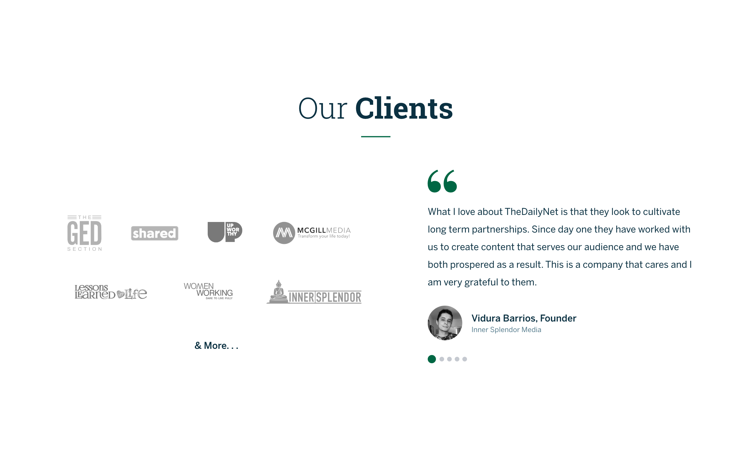 The Daily Net - Clients, Partners, Case Studies