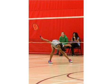 Naperville Central HS | Girls BADMINTON | Activities