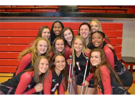 Bradley Bourbonnais Girls Volleyball Activities