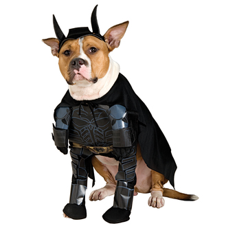 Batman The Dark Knight Rises Dog Costume