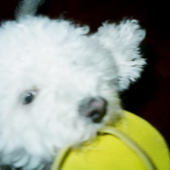 source: http://www.flickr.com/photos/20472037@N02/6535823691/