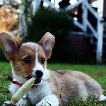 source: http://www.flickr.com/photos/35984137@N04/6440723397/