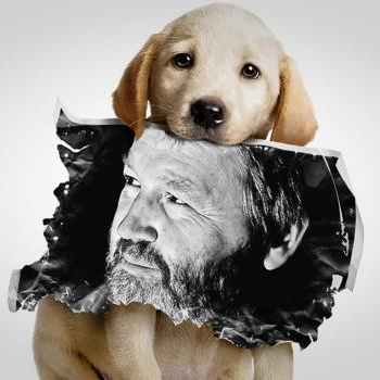 source: http://www.flickr.com/photos/nrg-photos/6583239861/