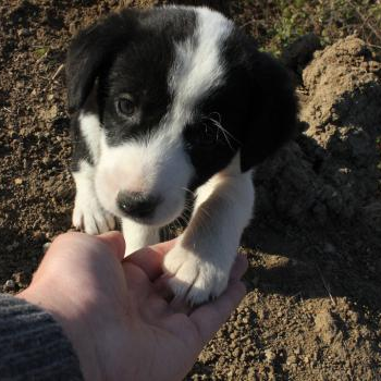 source: http://www.flickr.com/photos/67453525@N04/6426924833/