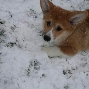 source: http://www.flickr.com/photos/15972048@N00/6717256819/