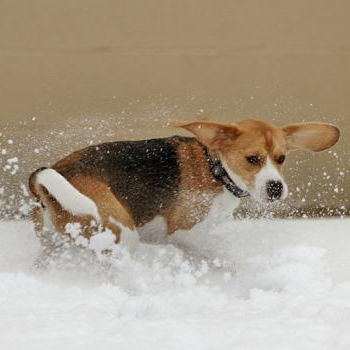 source: http://www.flickr.com/photos/22440485@N05/6613955839/