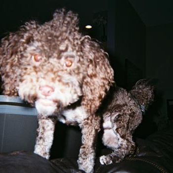 source: http://www.flickr.com/photos/syddd/6638977617/