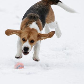source: http://www.flickr.com/photos/22440485@N05/6613958727/
