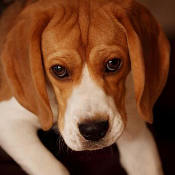 source: http://www.flickr.com/photos/22440485@N05/6613951197/