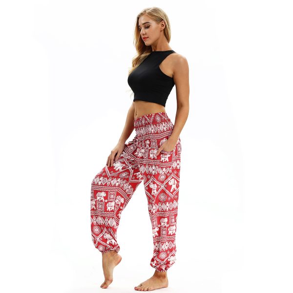 Belly Dance Yoga Pants - Image 2