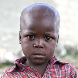 Enelson Michel