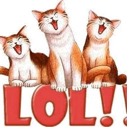 Liens Plus One Adoption