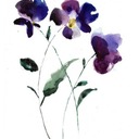 Dorian and Laura Geldmeier