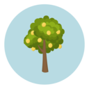 The List - The Sacred Forest Fruit Grove