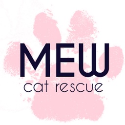 Mew Cat Rescue Fundraiser
