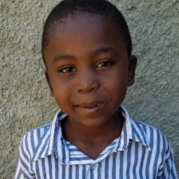 Joel Pierre Louis Guerrier