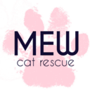NWA Gives: Mew Cat Rescue