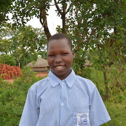 Atala Cinderella C138