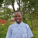 Atala Cinderella C138