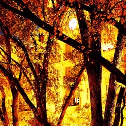 The PixElation Project